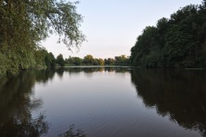 DSC_0131.JPG