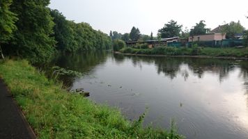 DSC_0254.JPG