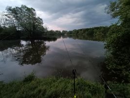 IMG20240511205004.jpg